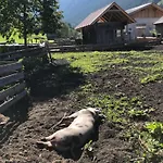 Фермерський будинок Auerhof *