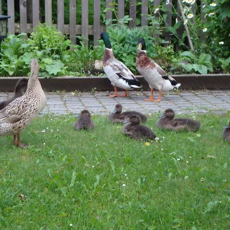 Фермерський будинок Auerhof