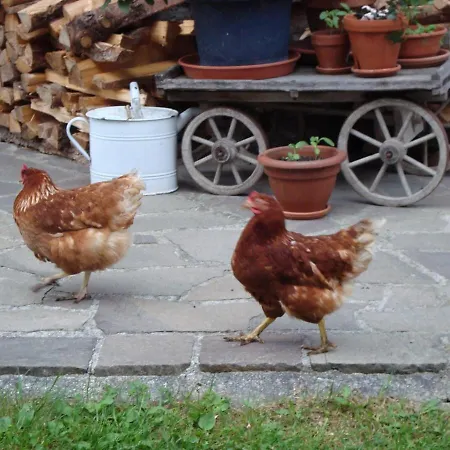 Auerhof * シュラートミンク