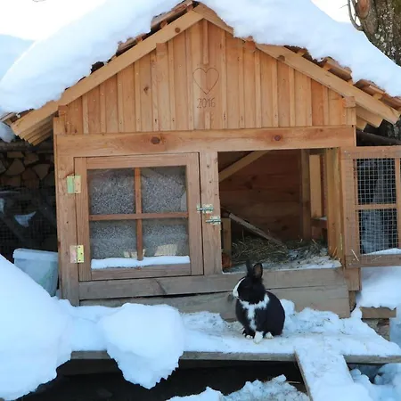 ファームステイ Auerhof シュラートミンク