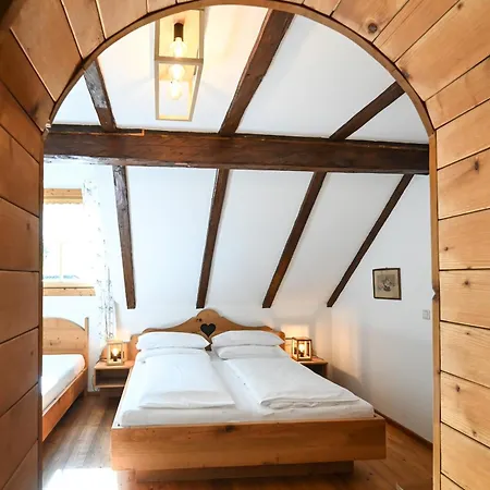 Farm stay Auerhof Schladming