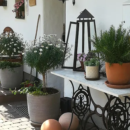 Auerhof * Шладмінг