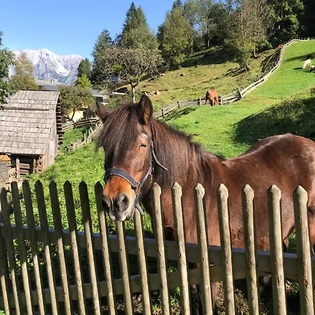 Auerhof Фермерський будинок Шладмінг