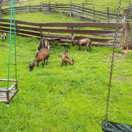 Auerhof * シュラートミンク