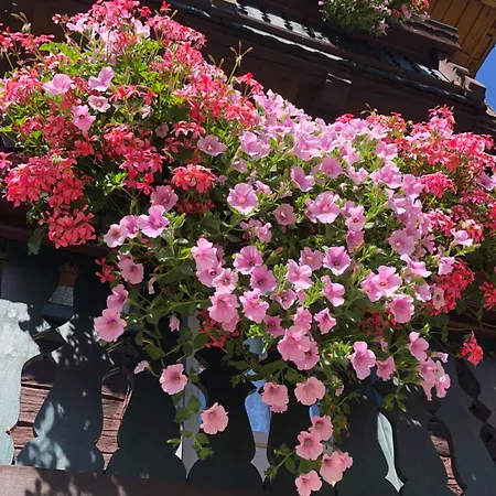 Auerhof Фермерський будинок