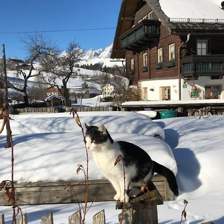 ファームステイ Auerhof シュラートミンク