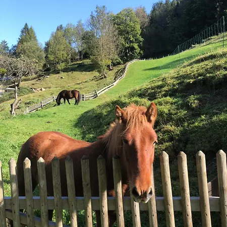 Auerhof