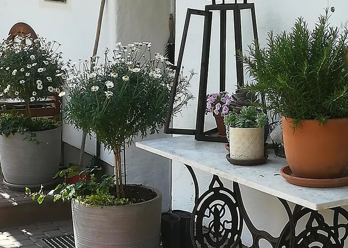 Auerhof * Schladming