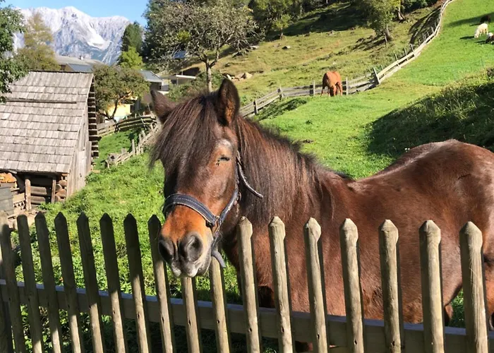 Auerhof Vakantieboerderij Schladming