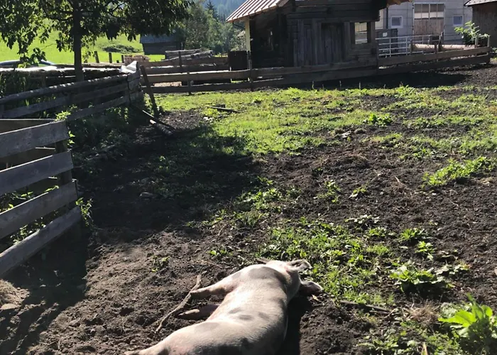 Vakantieboerderij Auerhof *