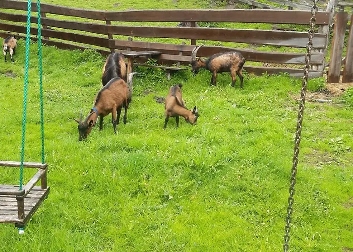 Auerhof * Schladming