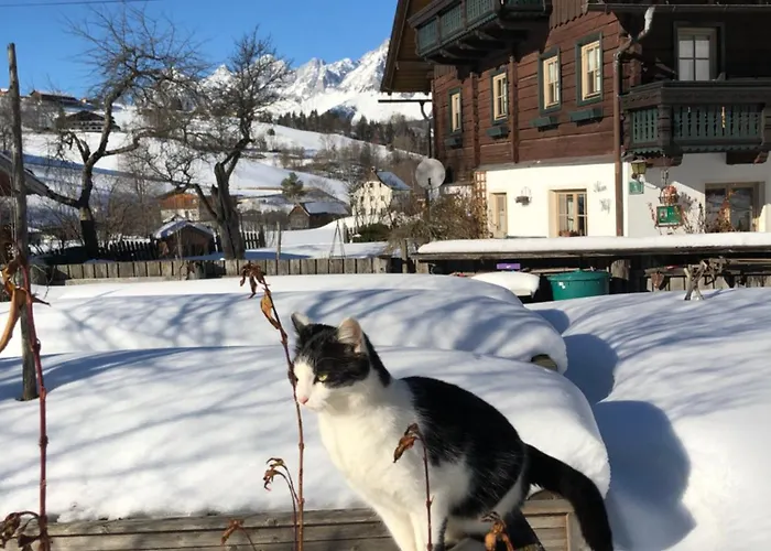 Farma Auerhof Schladming