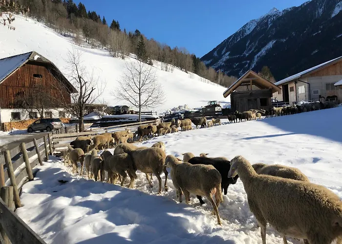 Auerhof * Schladming